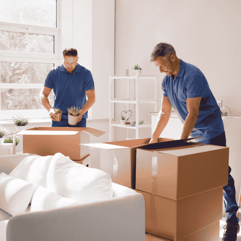 Packers and Movers